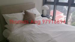 Fifteen Robin (D10), Condominium #88390722